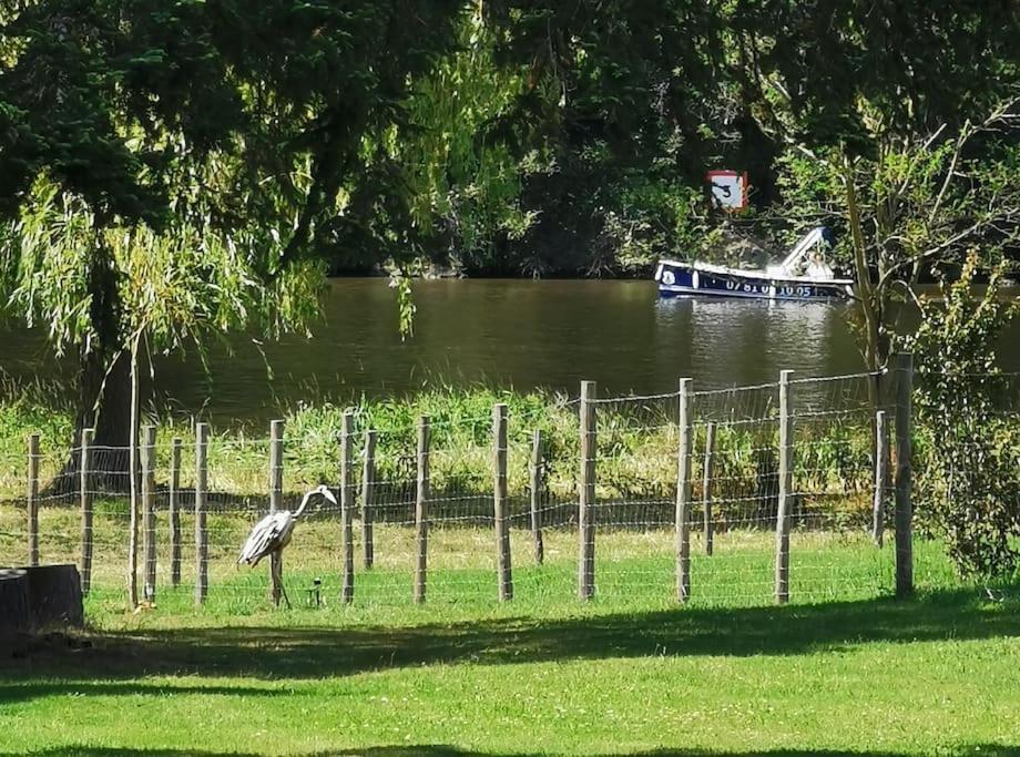 Le Ponton Des Sympetrums Aurec-Sur-Loire Экстерьер фото